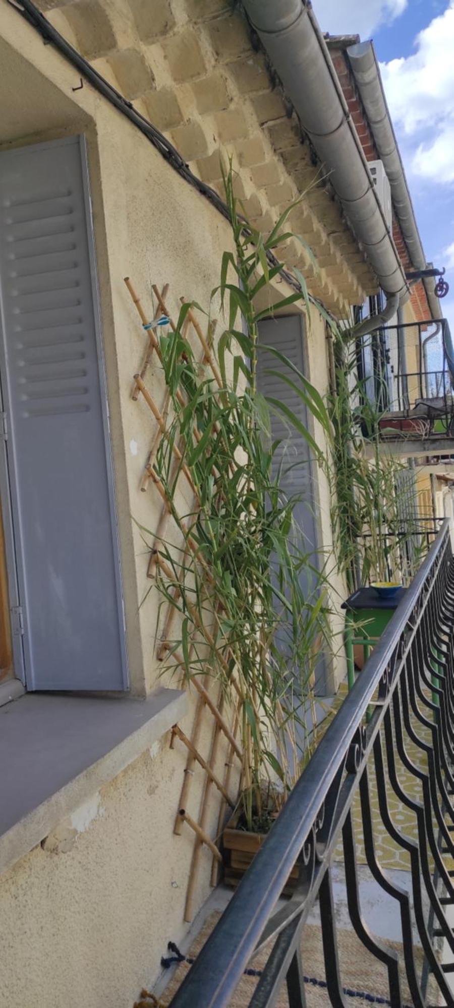 Y Here Vaison-la-Romaine Exterior photo